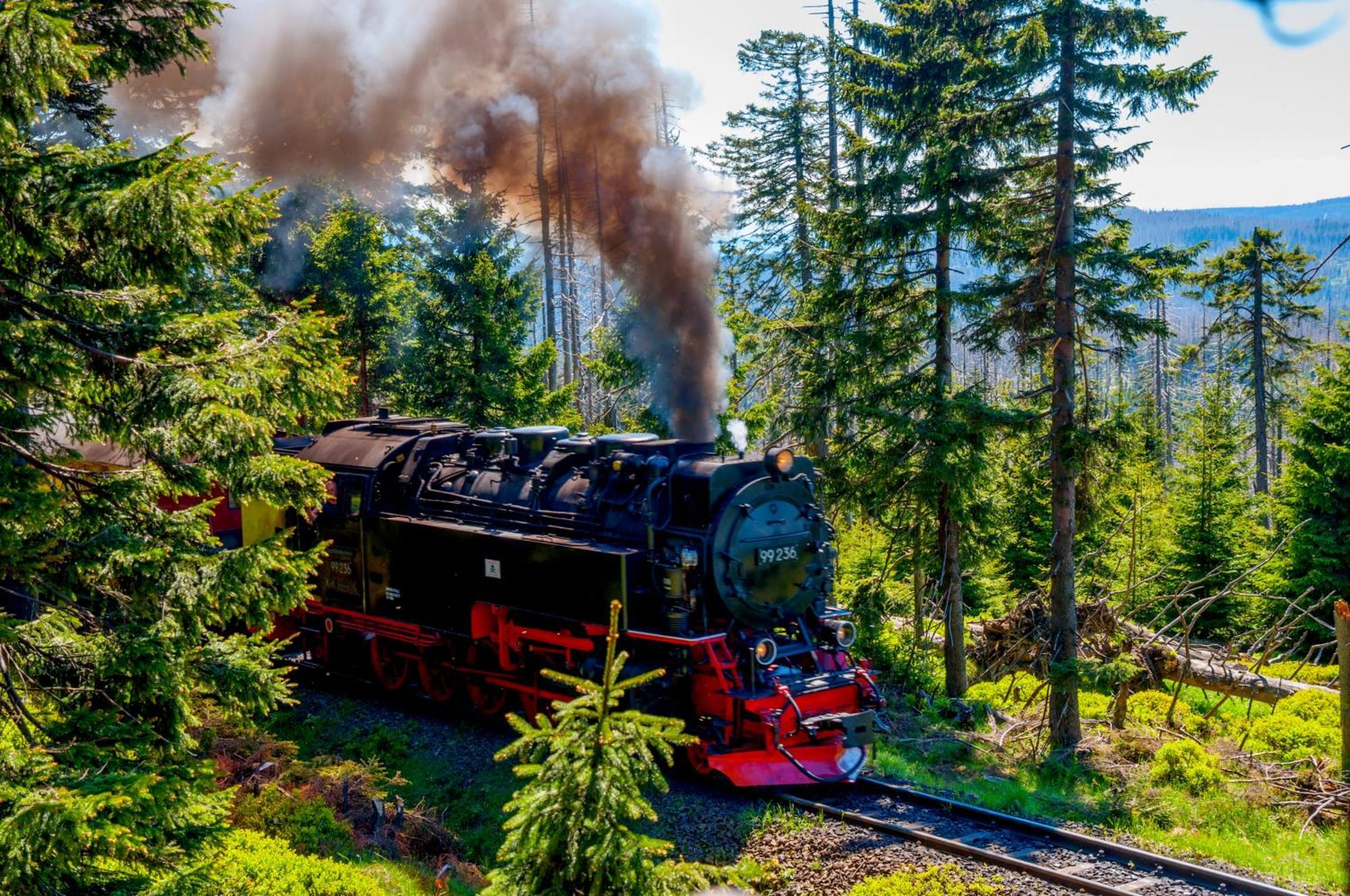 Regiohotel Harzresidenz Wernigerode Bagian luar foto
